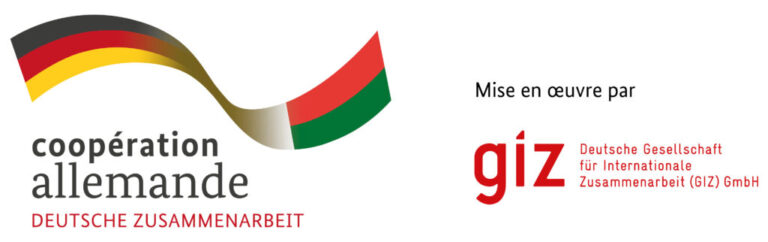 GIZ-Madagascar-1024x322